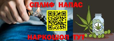 спиды Будённовск