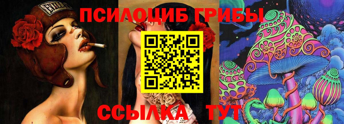 Новокуйбышевск  Галлюциногенные грибы GOLDEN TEACHER  Вход с VPN 
